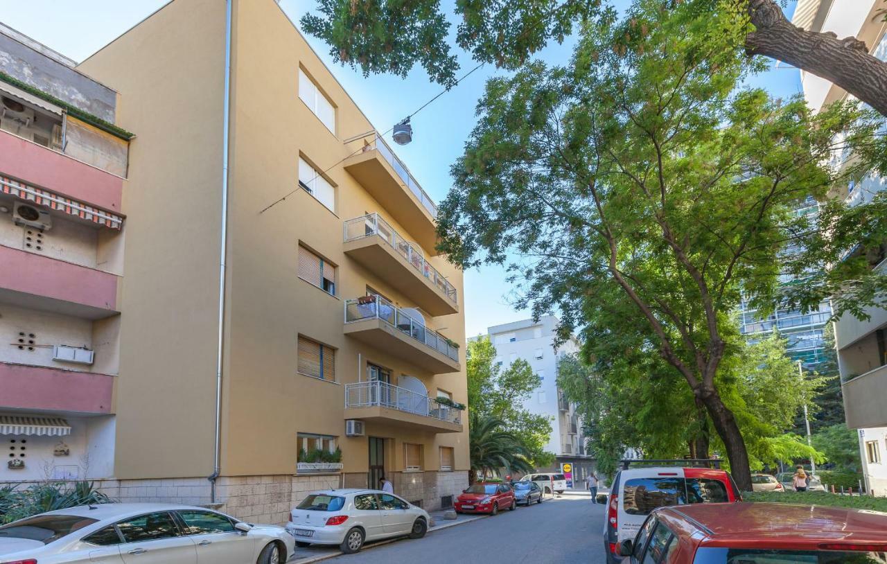 Apartament Olive Tree